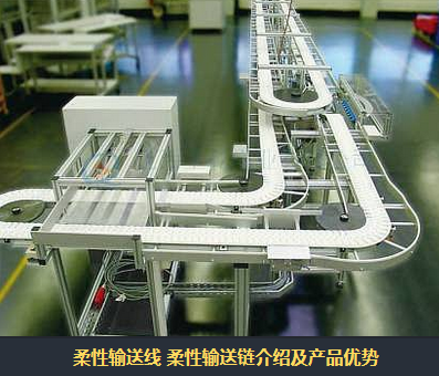 環形輸送機有什么特點？